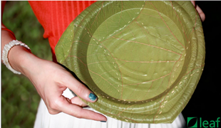 3d Printing Used in Leaf One-way Plate Prototyping
